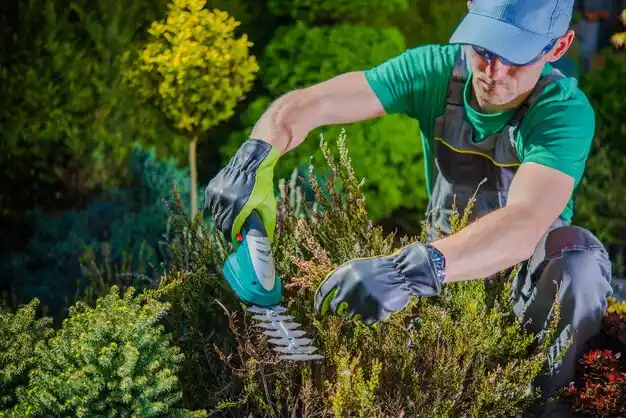 landscaping services Lincoln Village